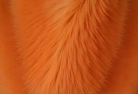Top Left