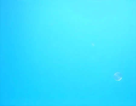 Top Left