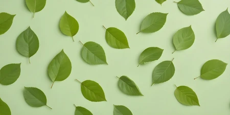 Top Left