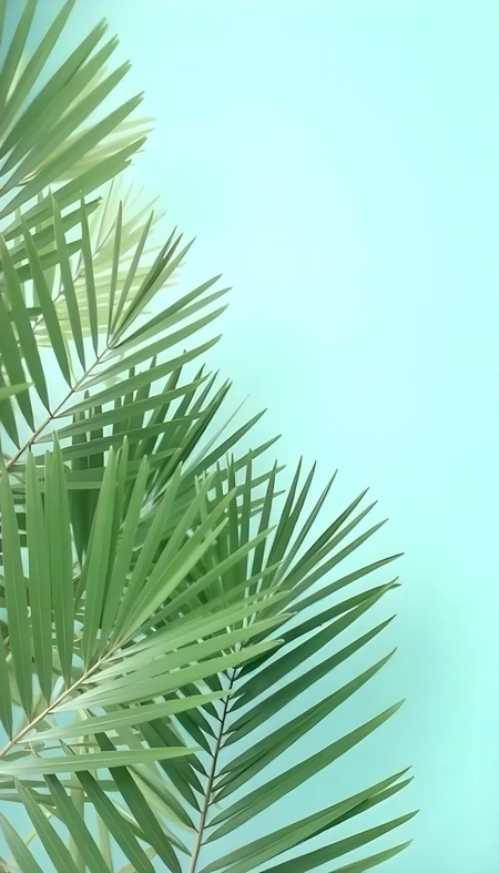 Top Left