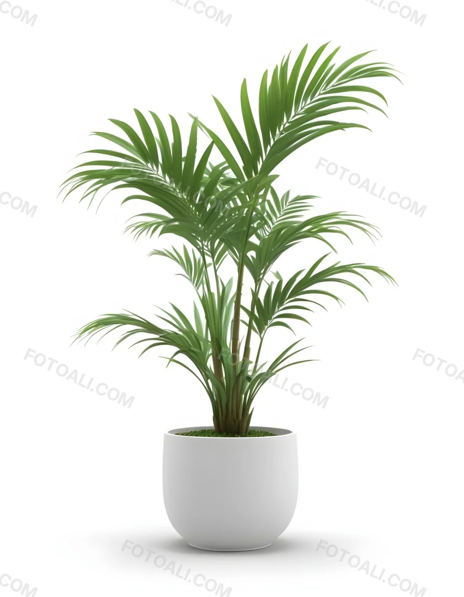 3d Model A Green Areca Palm Plant In A White Pot The Background Is Plain White The Plant Is Lush And Healthy The Pot Is Simple And Modern Figure Octane Render Volumetric Highly Detailed Videogame Aesthetic 10 65b1