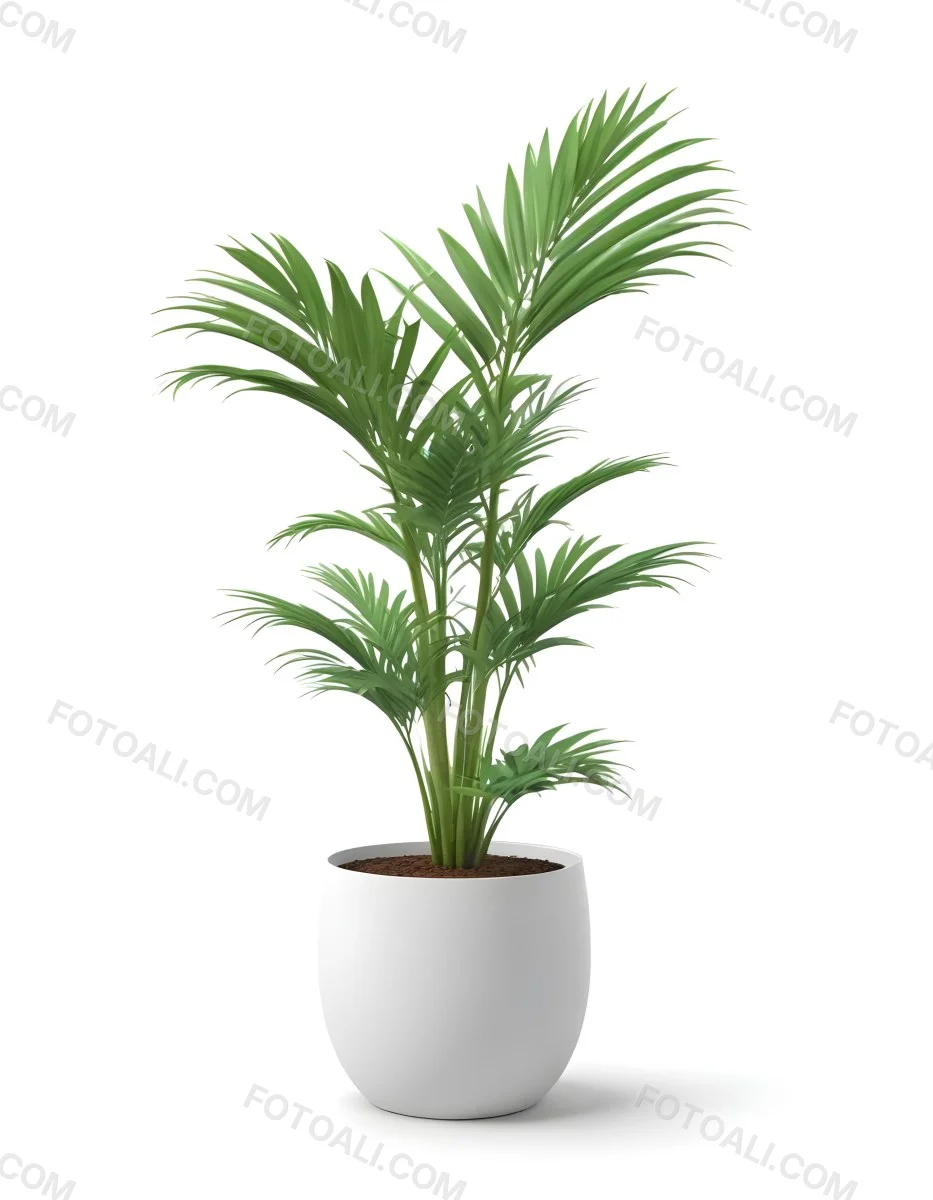 3d Model A Green Areca Palm Plant In A White Pot The Background Is Plain White The Plant Is Lush And Healthy The Pot Is Simple And Modern Figure Octane Render Volumetric Highly Detailed Videogame Aesthetic 12 E02e