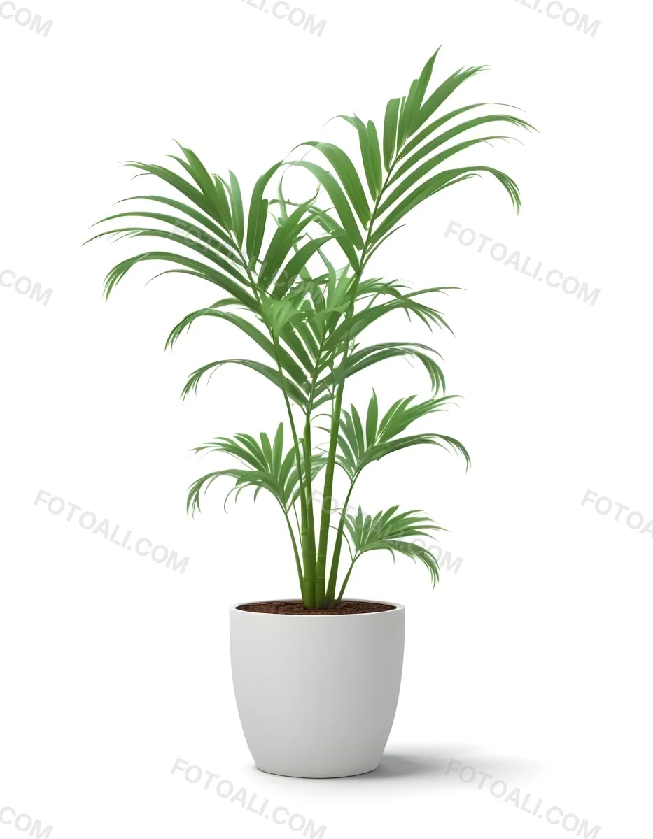 3d Model A Green Areca Palm Plant In A White Pot The Background Is Plain White The Plant Is Lush And Healthy The Pot Is Simple And Modern Figure Octane Render Volumetric Highly Detailed Videogame Aesthetic 23 8758