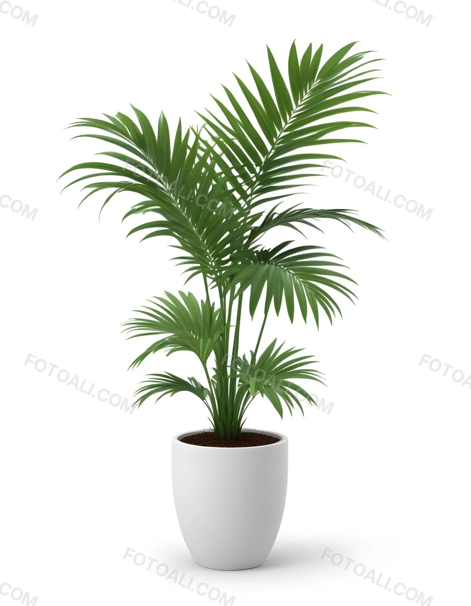 3d Model A Green Areca Palm Plant In A White Pot The Background Is Plain White The Plant Is Lush And Healthy The Pot Is Simple And Modern Figure Octane Render Volumetric Highly Detailed Videogame Aesthetic 3 51db
