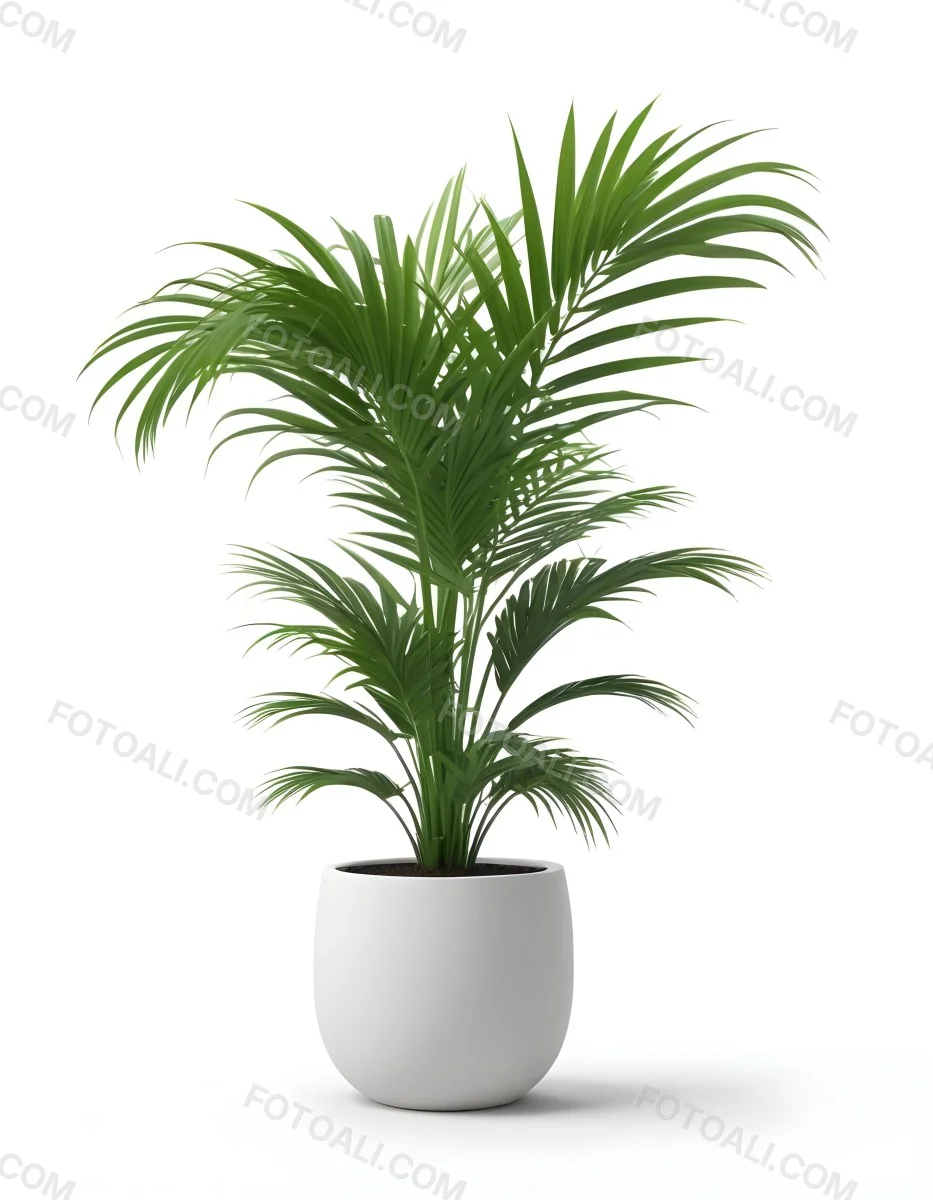 3d Model A Green Areca Palm Plant In A White Pot The Background Is Plain White The Plant Is Lush And Healthy The Pot Is Simple And Modern Figure Octane Render Volumetric Highly Detailed Videogame Aesthetic 6 86ad