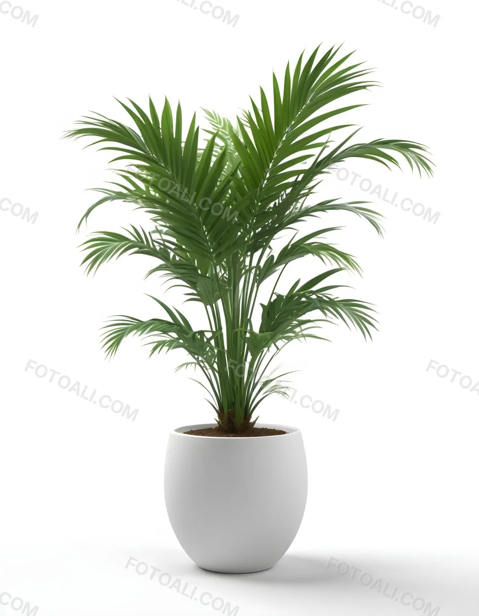 3d Model A Green Areca Palm Plant In A White Pot The Background Is Plain White The Plant Is Lush And Healthy The Pot Is Simple And Modern Figure Octane Render Volumetric Highly Detailed Videogame Aesthetic 7 4998