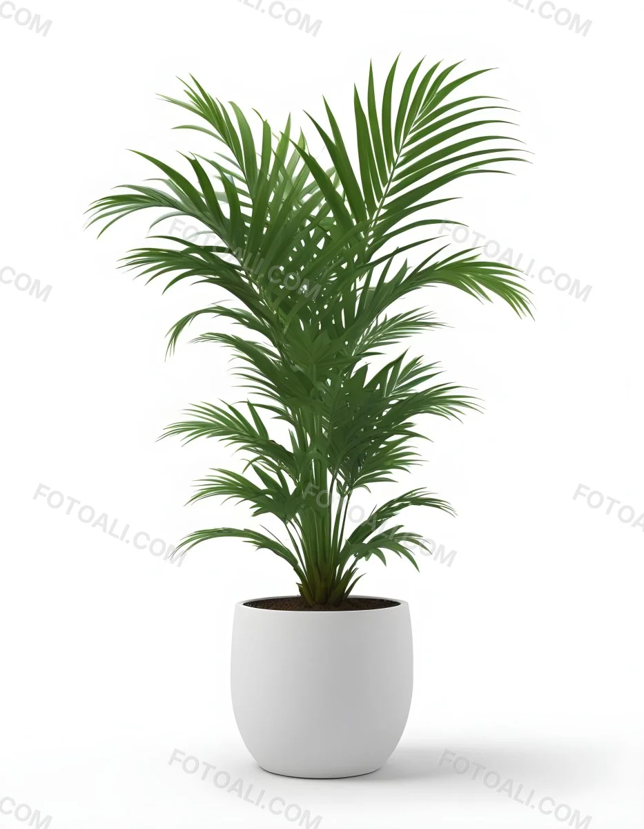3d Model A Green Areca Palm Plant In A White Pot The Background Is Plain White The Plant Is Lush And Healthy The Pot Is Simple And Modern Figure Octane Render Volumetric Highly Detailed Videogame Aesthetic 9 6e27
