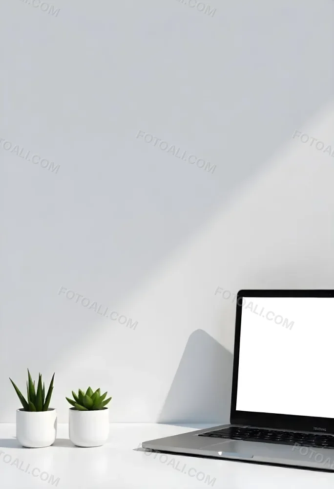 A Blank Black Canvas With A White Frame Two Small Succulent Plants And A White Wall Background 51 062e
