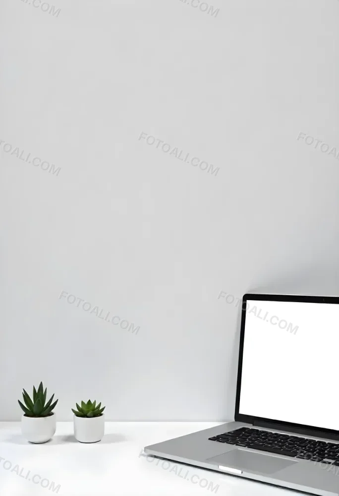 A Blank Black Canvas With A White Frame Two Small Succulent Plants And A White Wall Background 57 6867