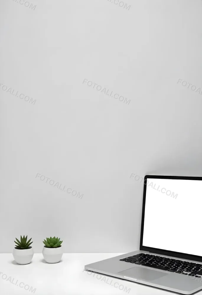 A Blank Black Canvas With A White Frame Two Small Succulent Plants And A White Wall Background 62 C0c2