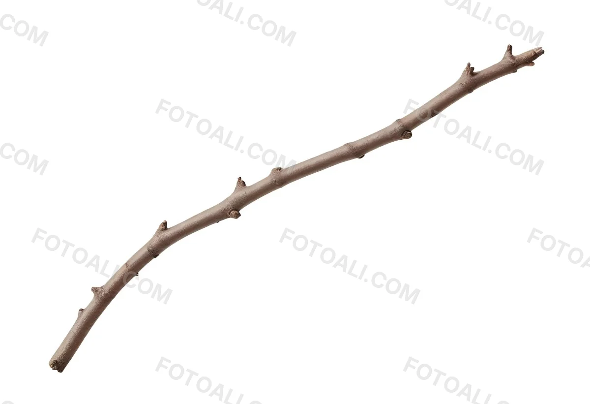 A Brown Tree Branch With Small Twigs Sticking Out Isolated On A White Background Natural Light Sharp Focus Simple Composition 3 8b29