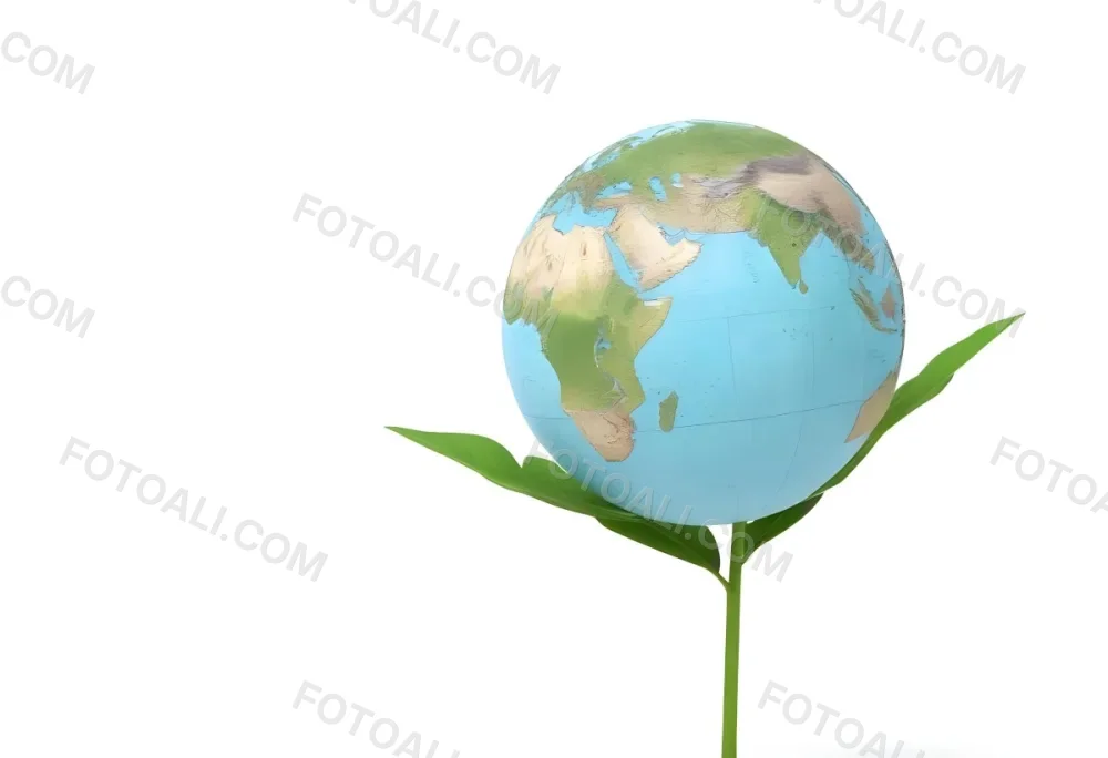 A Globe On Top Of A Green Plant With Two Leaves The Background Is Plain White 9 1df3