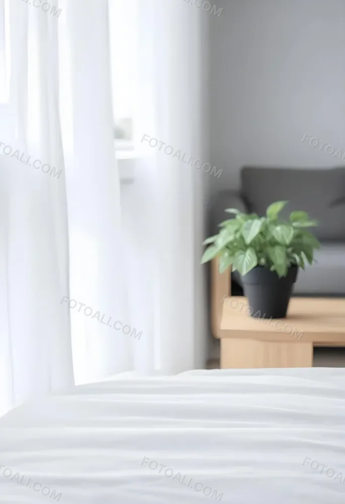 A Green Plant In A White Pot On A Wooden Table A White Curtain In The Foreground A Gray Sofa In The Background In A Living Room 6 5913