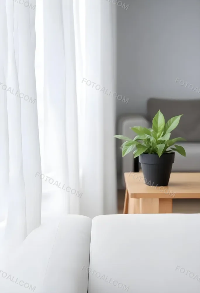 A Green Plant In A White Pot On A Wooden Table A White Curtain In The Foreground A Gray Sofa In The Background In A Living Room 9 57f4