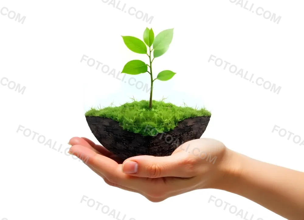 A Hand Holding A Half Earth With A Plant Growing Inside The Other Half Of The Earth Floating Above White Background 13 E0b1