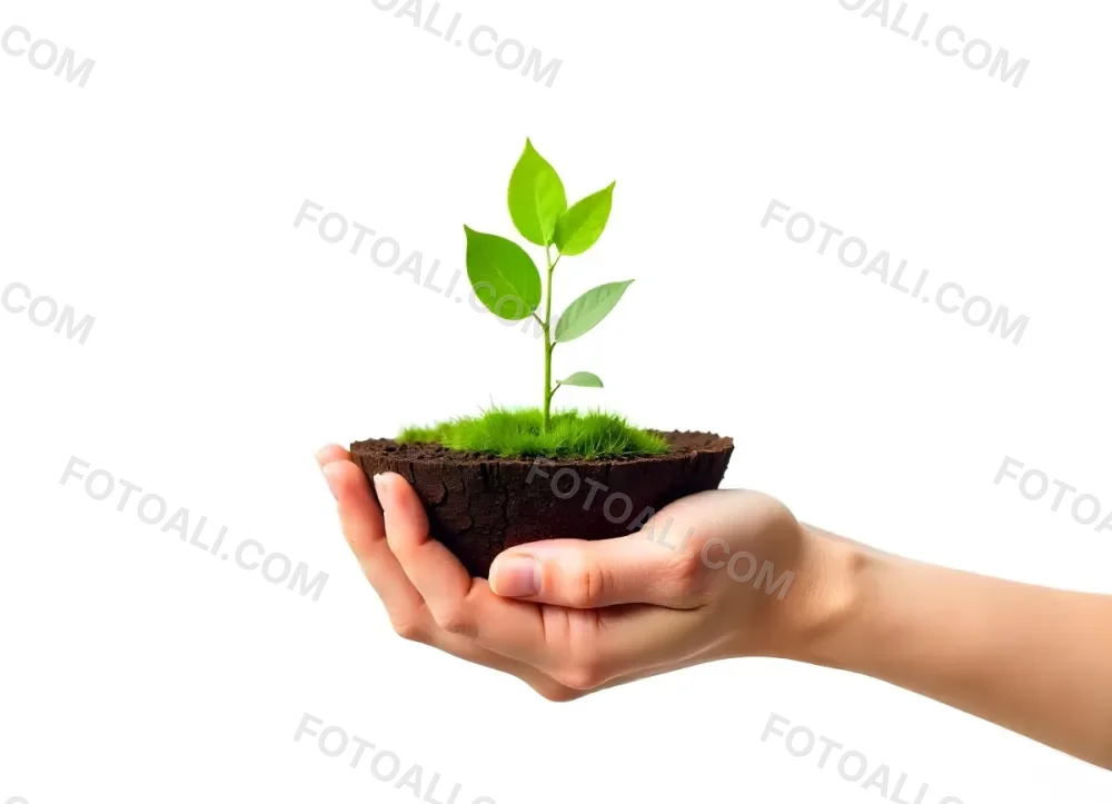 A Hand Holding A Half Earth With A Plant Growing Inside The Other Half Of The Earth Floating Above White Background 14 E479