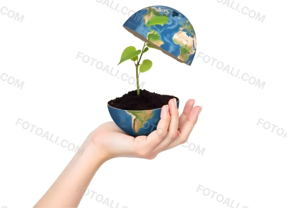 A Hand Holding A Half Earth With A Plant Growing Inside The Other Half Of The Earth Floating Above White Background 20 E4e0
