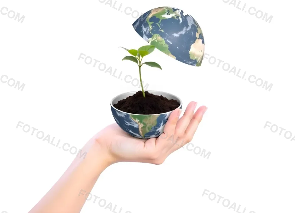 A Hand Holding A Half Earth With A Plant Growing Inside The Other Half Of The Earth Floating Above White Background 22 2f72