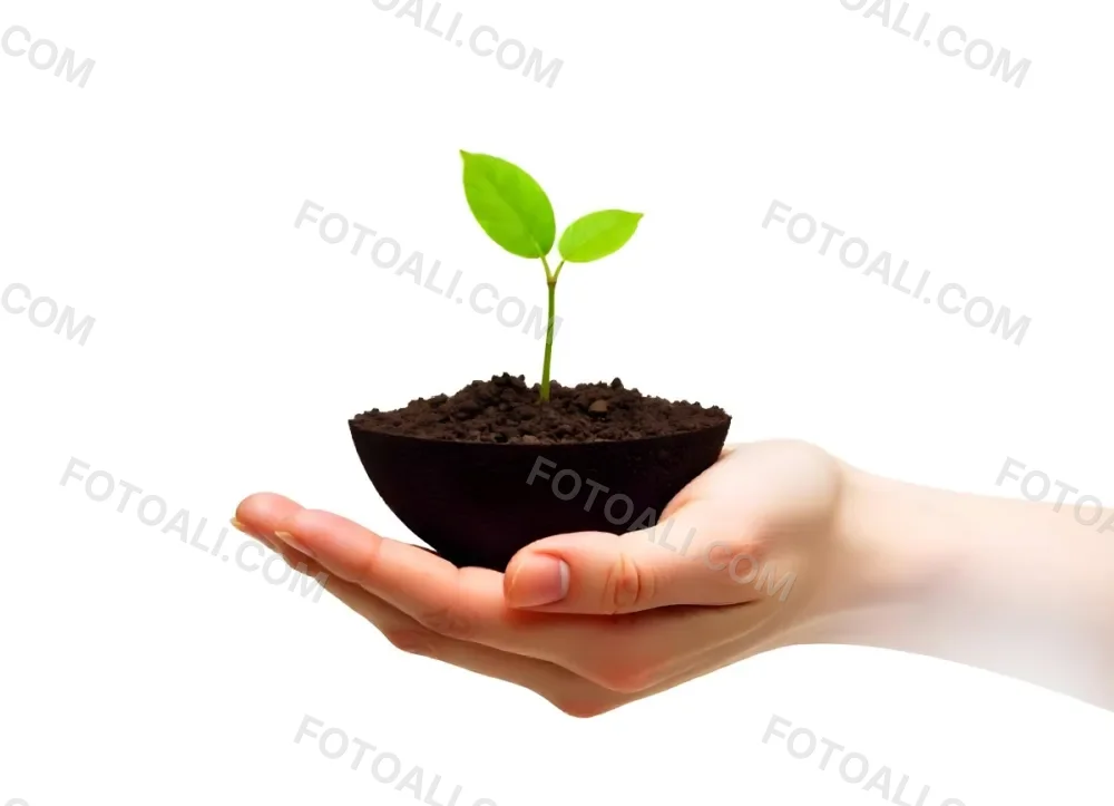 A Hand Holding A Half Earth With A Plant Growing Inside The Other Half Of The Earth Floating Above White Background 3 223b