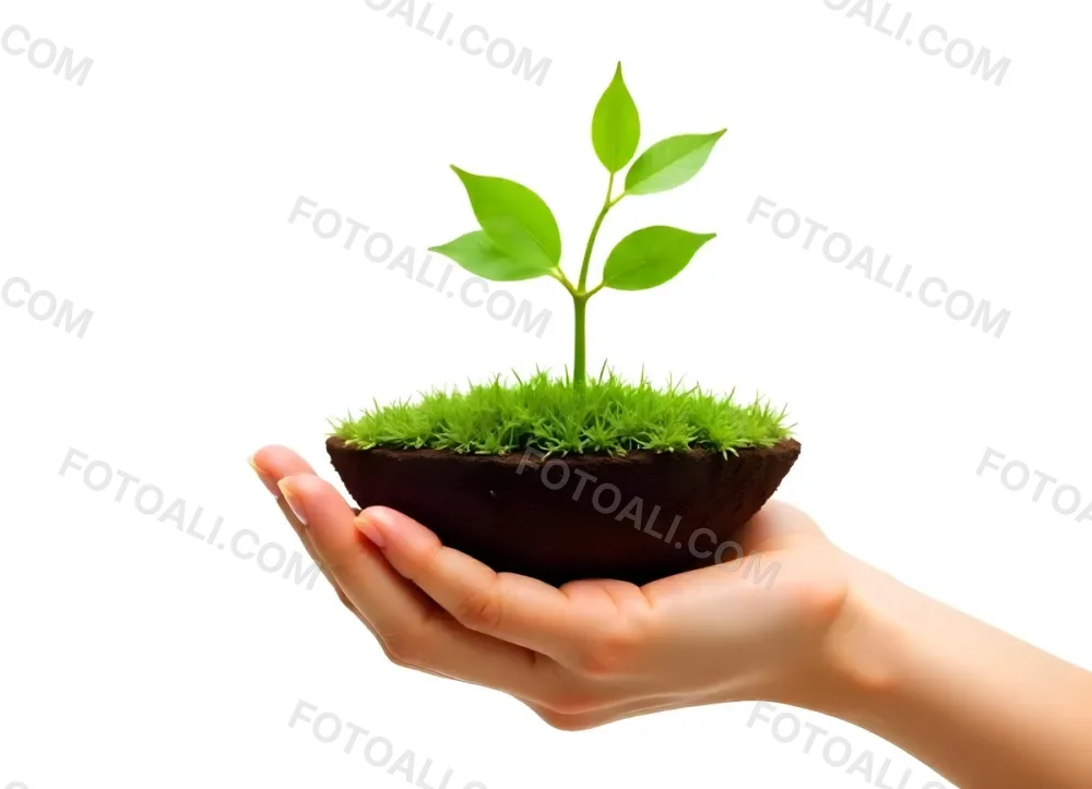 A Hand Holding A Half Earth With A Plant Growing Inside The Other Half Of The Earth Floating Above White Background 4 3bb1