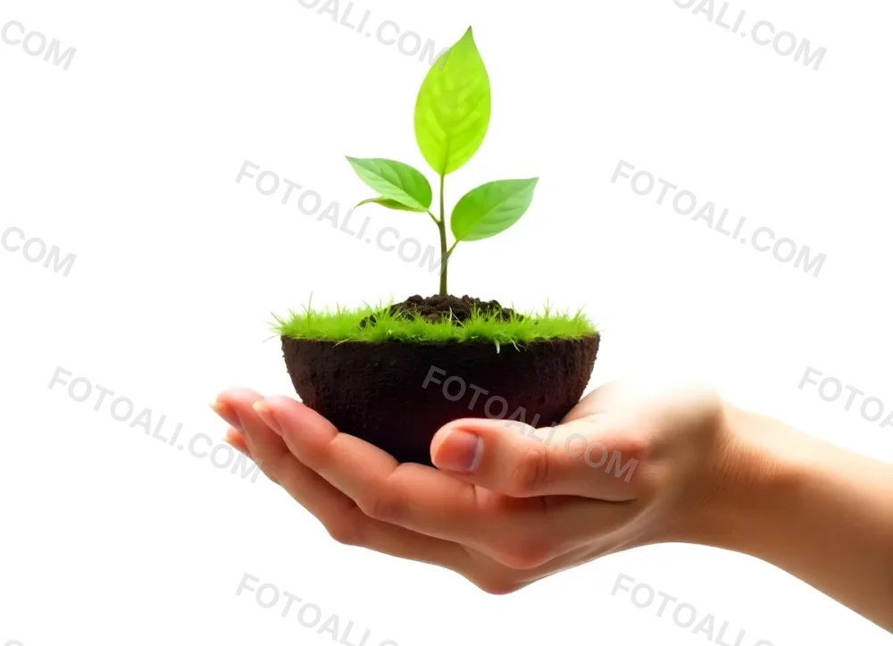 A Hand Holding A Half Earth With A Plant Growing Inside The Other Half Of The Earth Floating Above White Background 7 60cc
