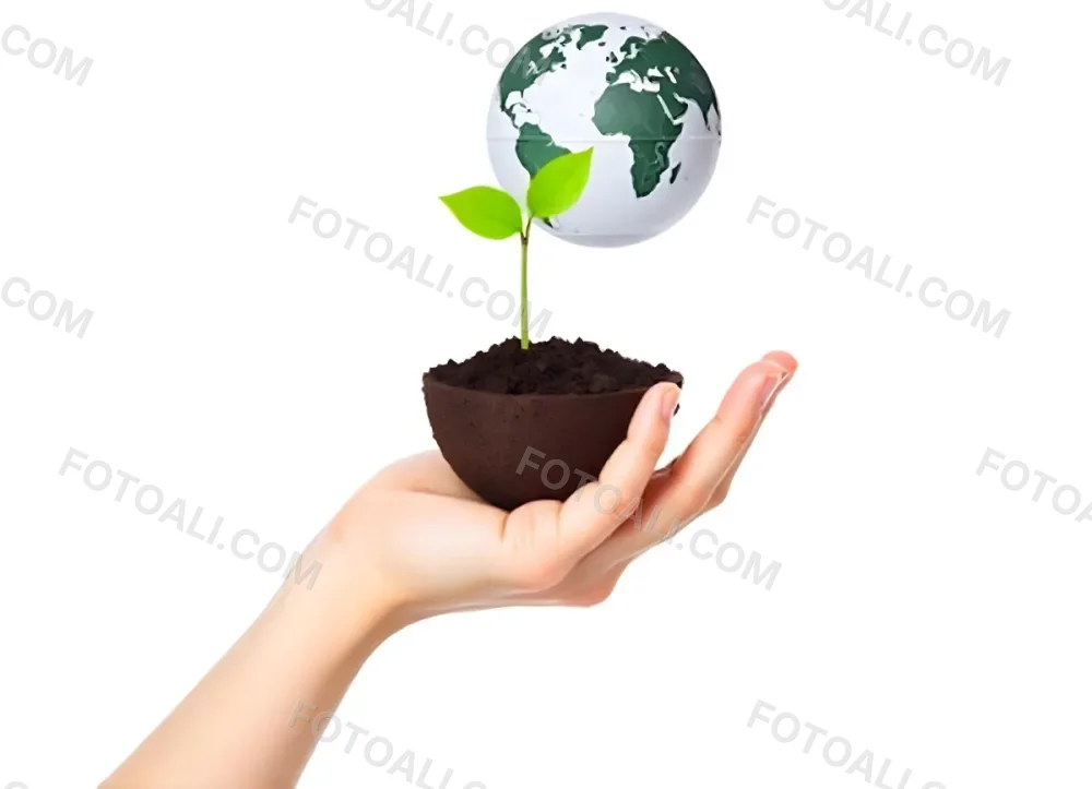 A Hand Holding A Half Earth With A Plant Growing Inside The Other Half Of The Earth Floating Above White Background 8 4fde