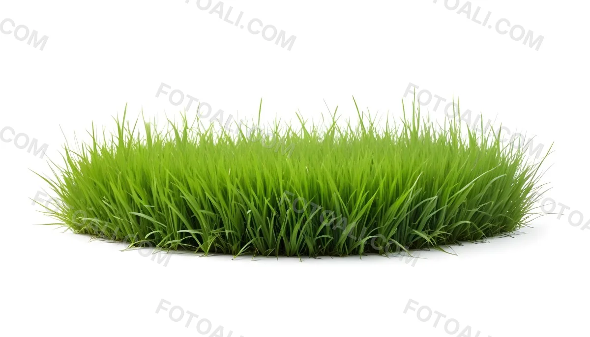 A Patch Of Green Grass Vibrant And Lush With Varying Shades Of Green Isolated On A White Background Creating A Clean And Simple Composition 1 863f