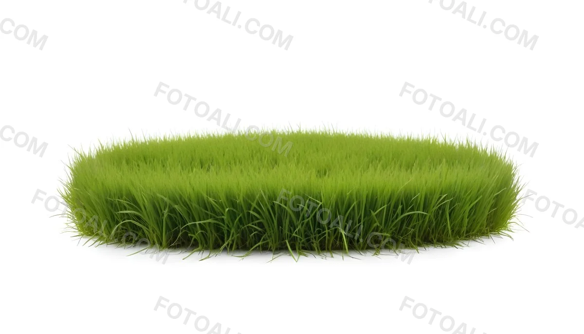 A Patch Of Green Grass Vibrant And Lush With Varying Shades Of Green Isolated On A White Background Creating A Clean And Simple Composition 18 3d9b