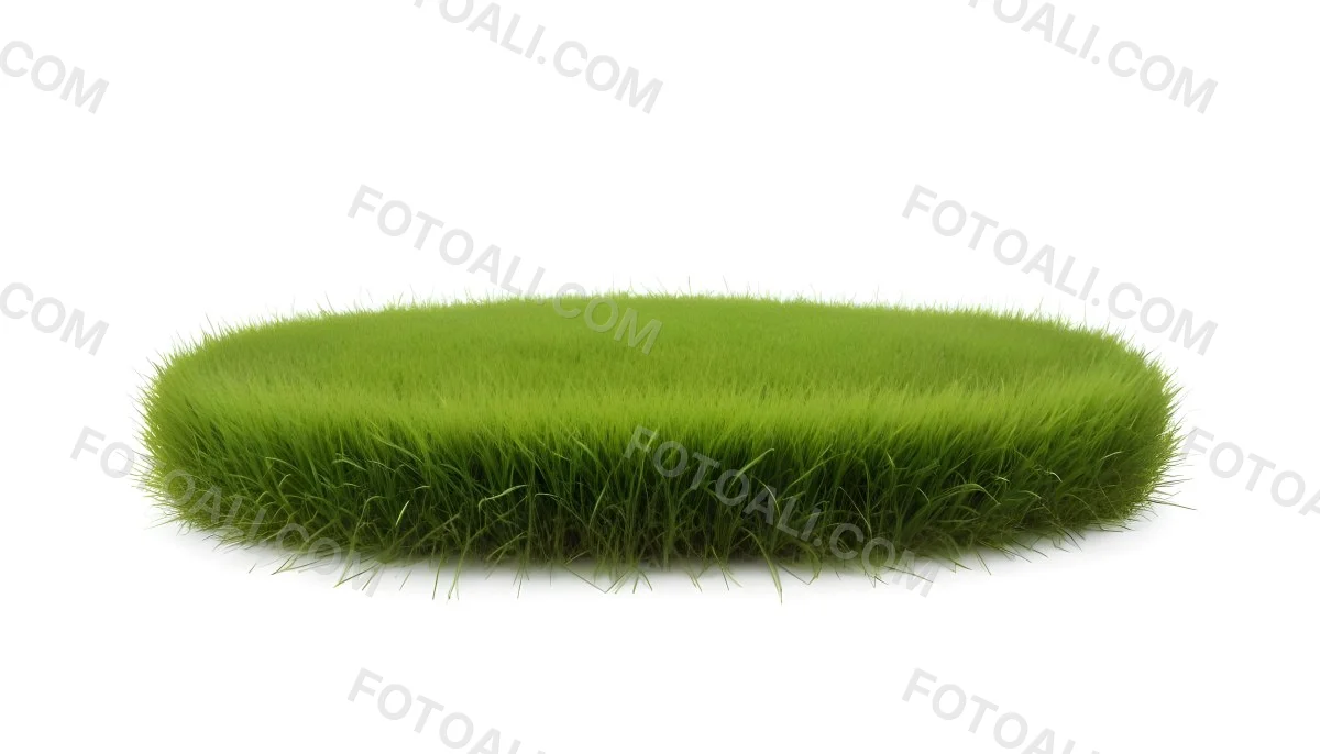 A Patch Of Green Grass Vibrant And Lush With Varying Shades Of Green Isolated On A White Background Creating A Clean And Simple Composition 2 2c2c