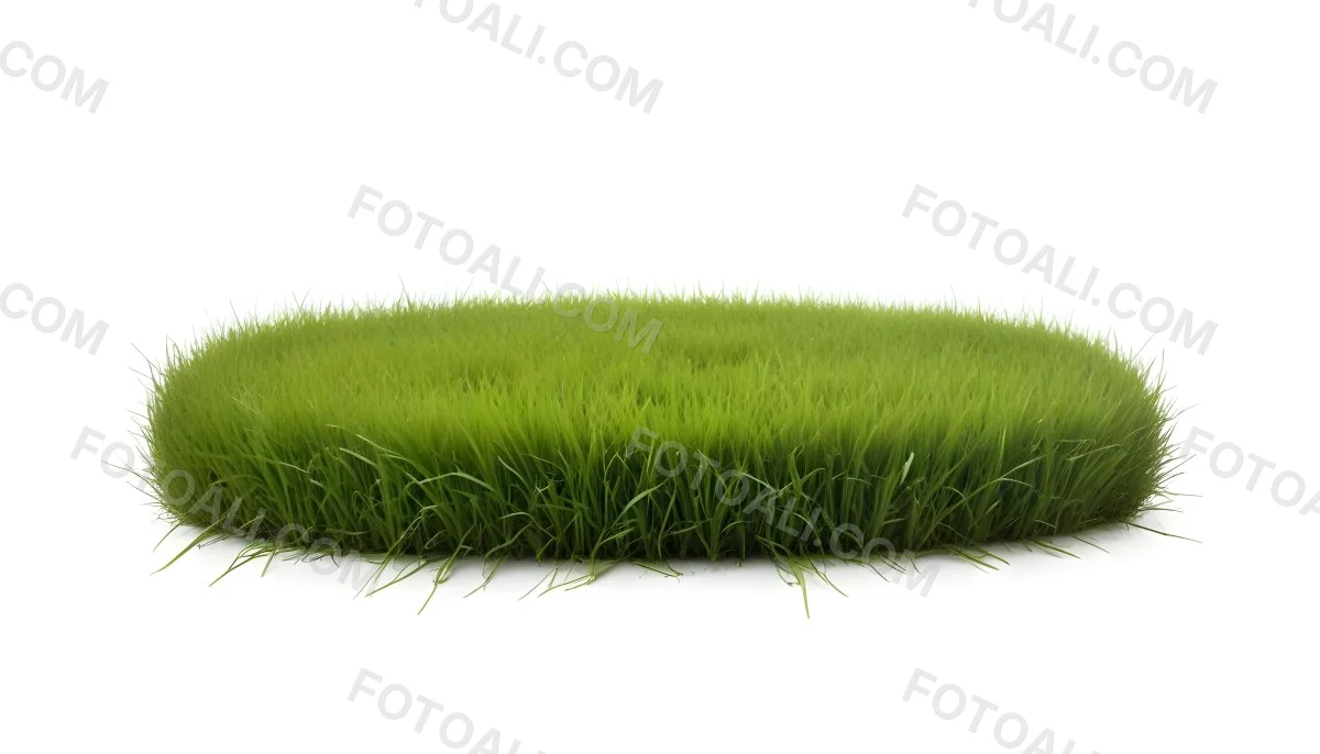 A Patch Of Green Grass Vibrant And Lush With Varying Shades Of Green Isolated On A White Background Creating A Clean And Simple Composition 25 041e