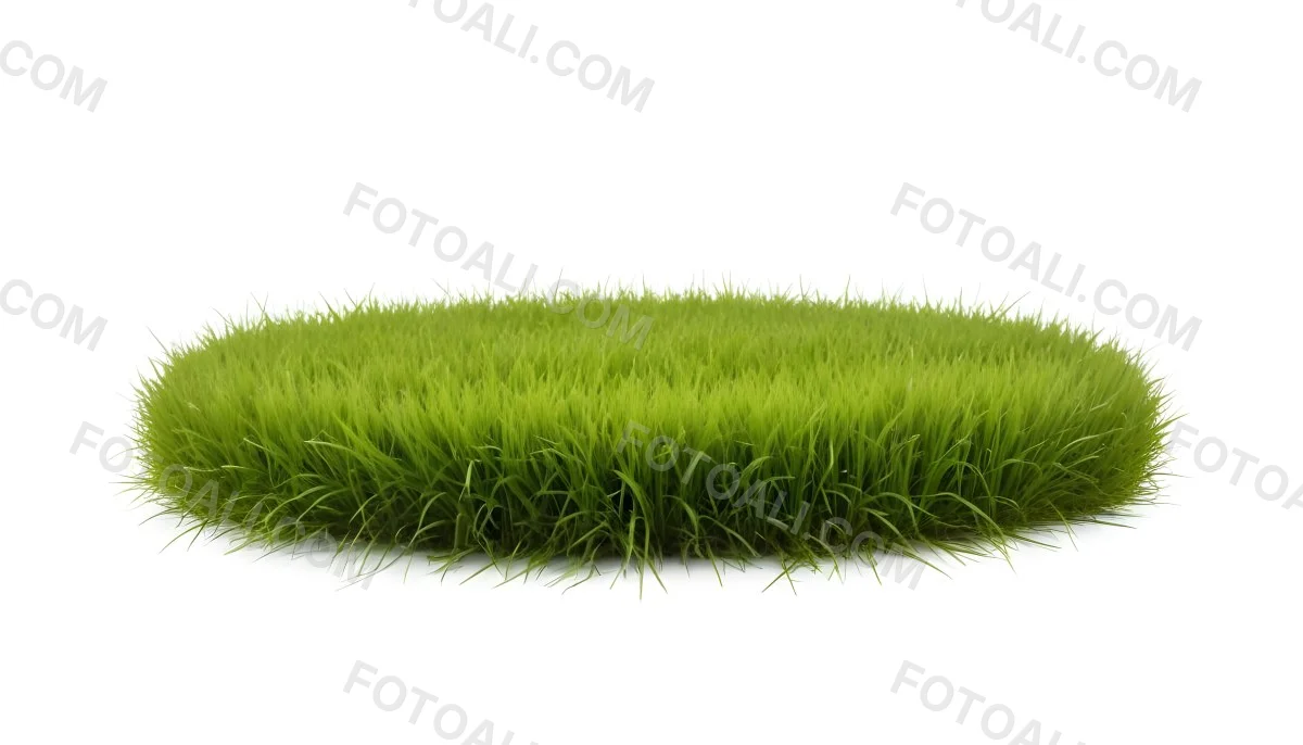 A Patch Of Green Grass Vibrant And Lush With Varying Shades Of Green Isolated On A White Background Creating A Clean And Simple Composition 29 A393