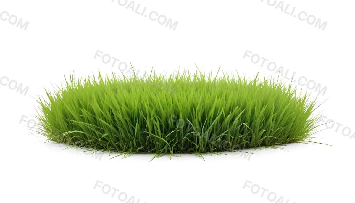 A Patch Of Green Grass Vibrant And Lush With Varying Shades Of Green Isolated On A White Background Creating A Clean And Simple Composition 3 D0ac