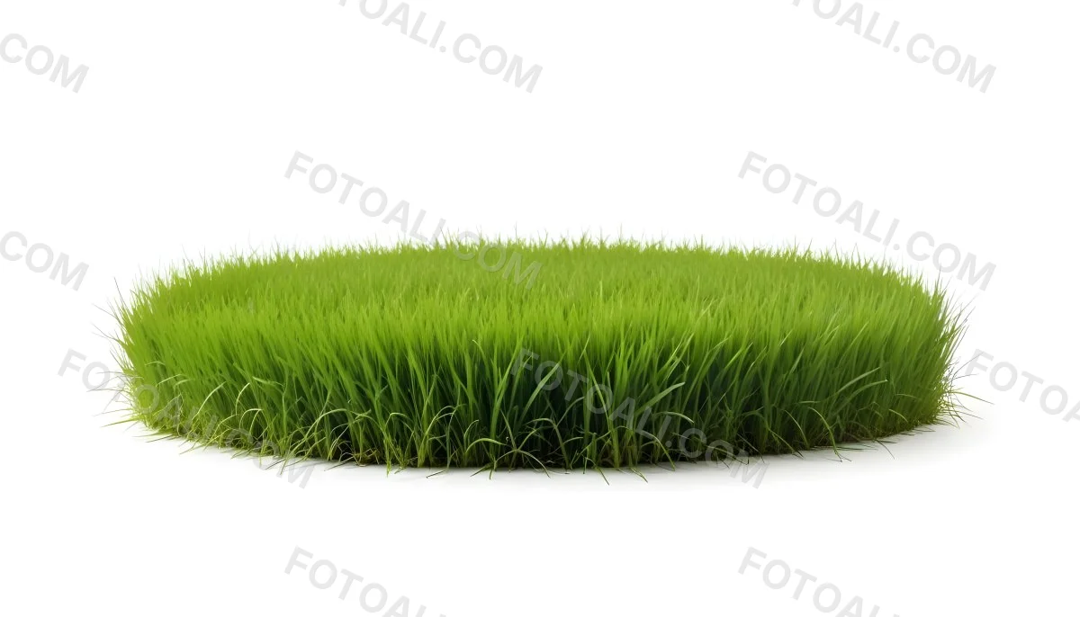 A Patch Of Green Grass Vibrant And Lush With Varying Shades Of Green Isolated On A White Background Creating A Clean And Simple Composition 4 Fd1f
