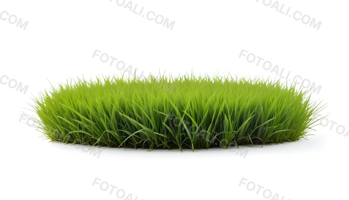 A Patch Of Green Grass Vibrant And Lush With Varying Shades Of Green Isolated On A White Background Creating A Clean And Simple Composition 7 7b21