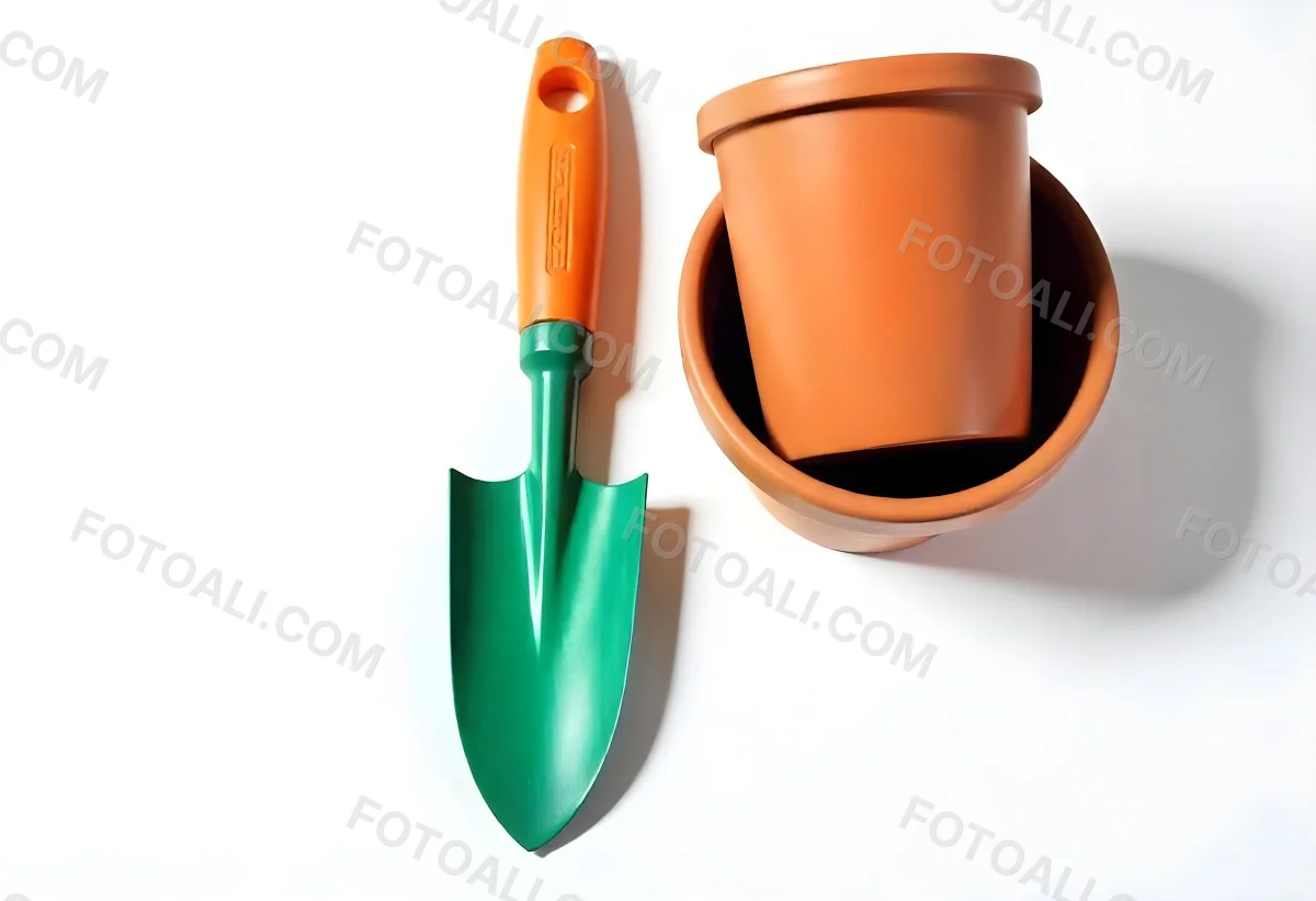 A Potted Green Plant With Large Leaves Against A White Background 1