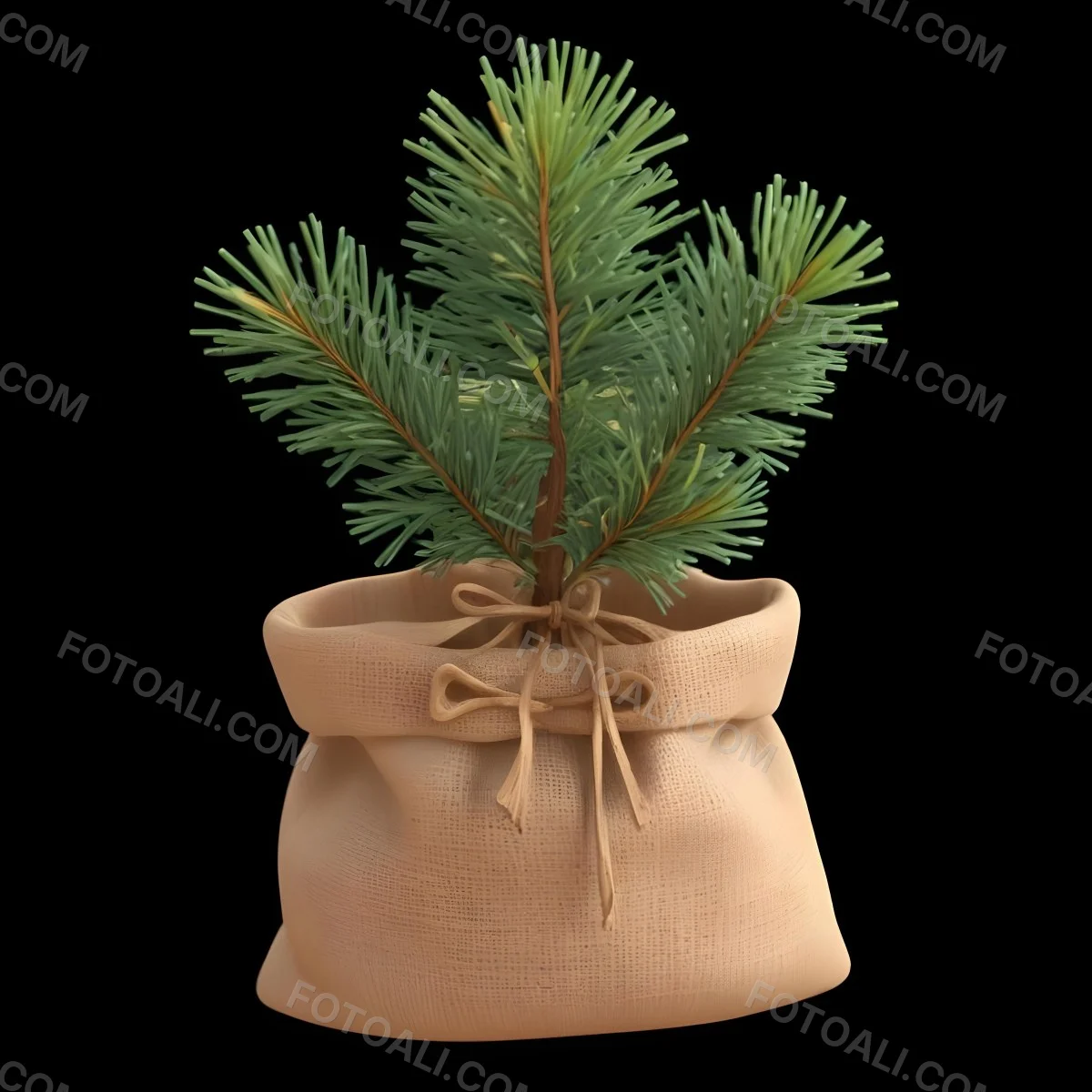 A Small Pine Tree In A Burlap Sack With A Tied Bow The Background Is Plain Black 16 6cf2
