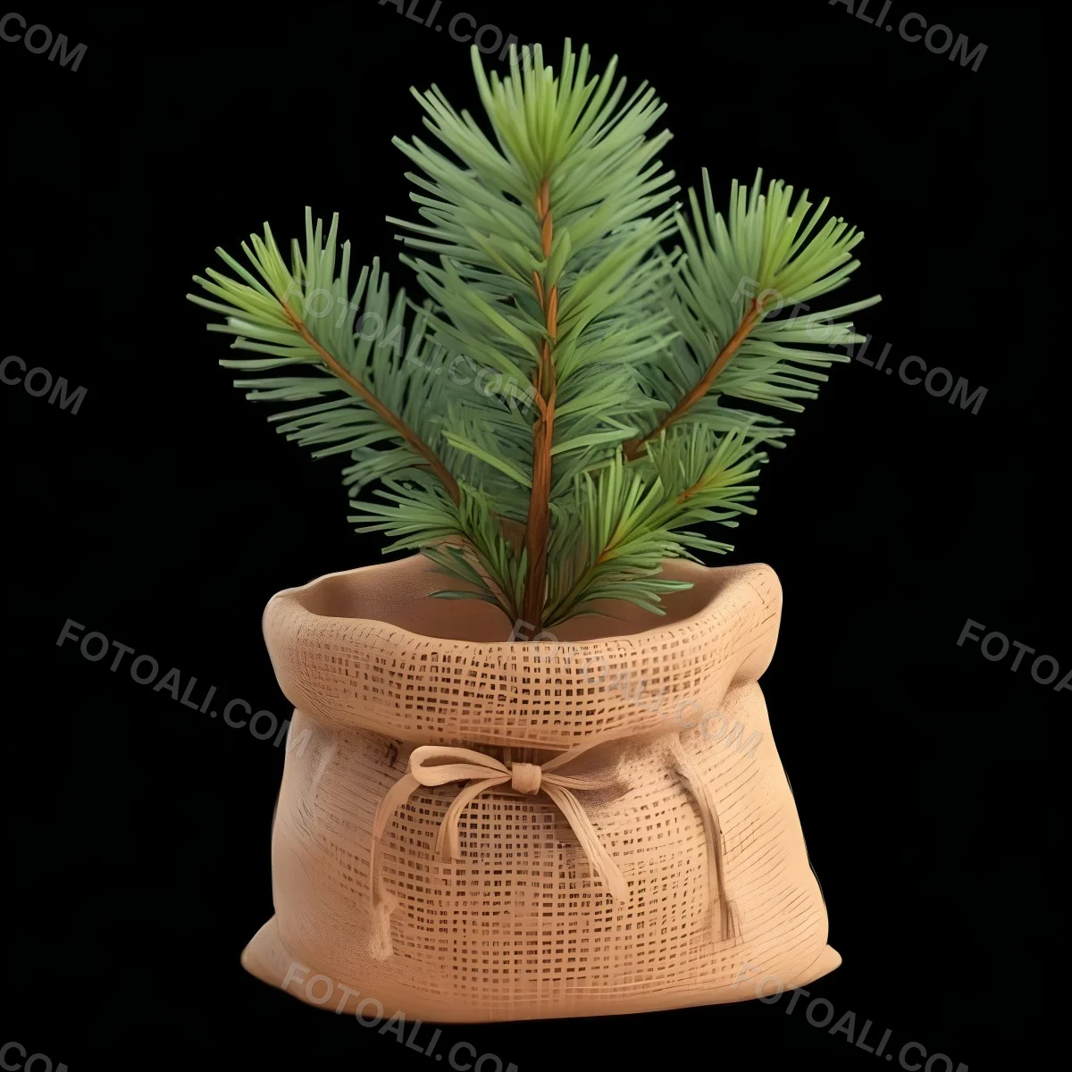 A Small Pine Tree In A Burlap Sack With A Tied Bow The Background Is Plain Black 2 E65a