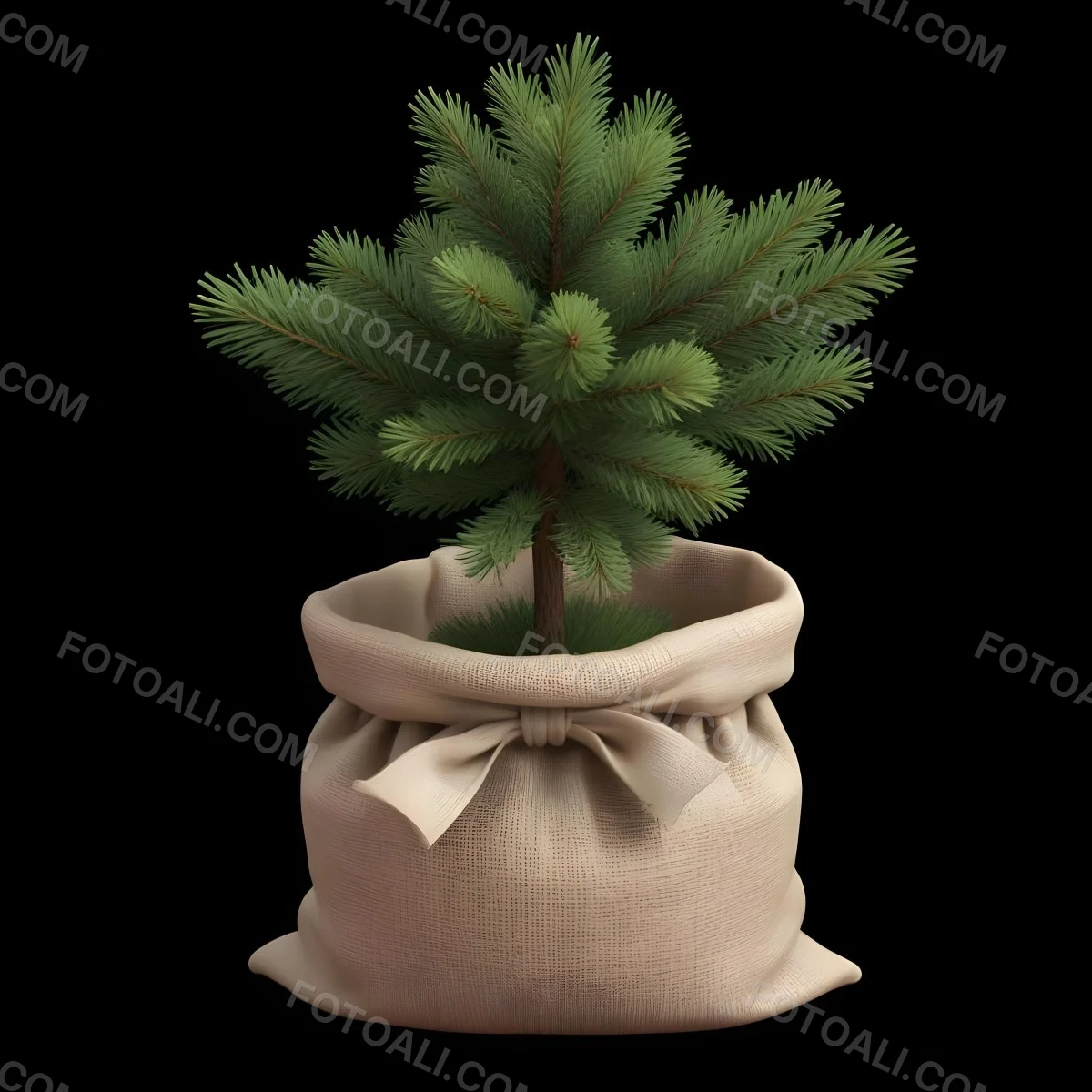A Small Pine Tree In A Burlap Sack With A Tied Bow The Background Is Plain Black 3 6546