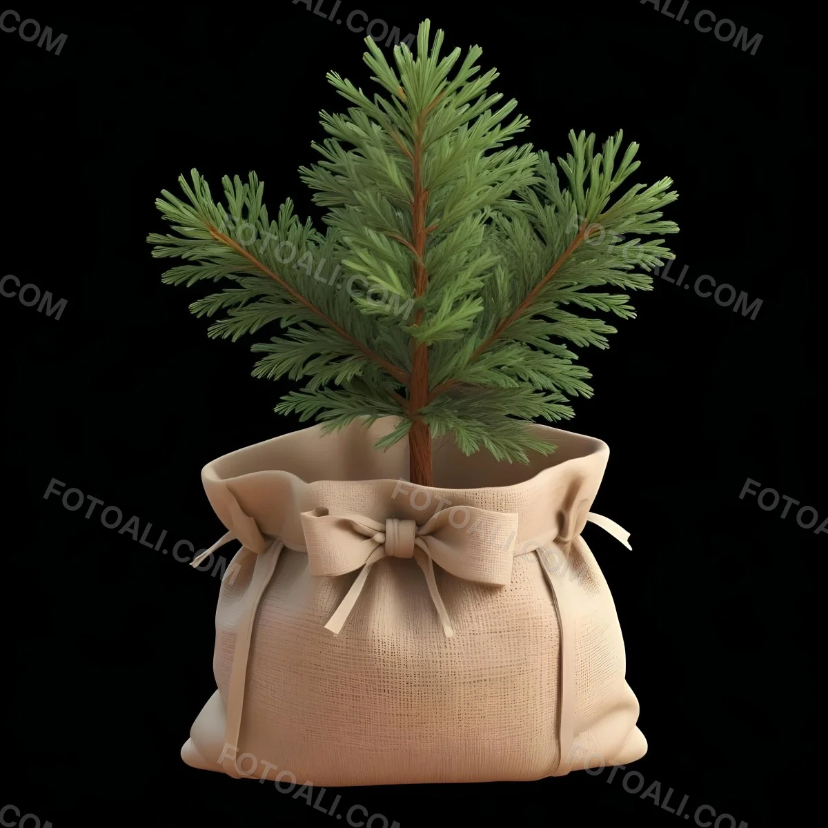 A Small Pine Tree In A Burlap Sack With A Tied Bow The Background Is Plain Black 4 7838
