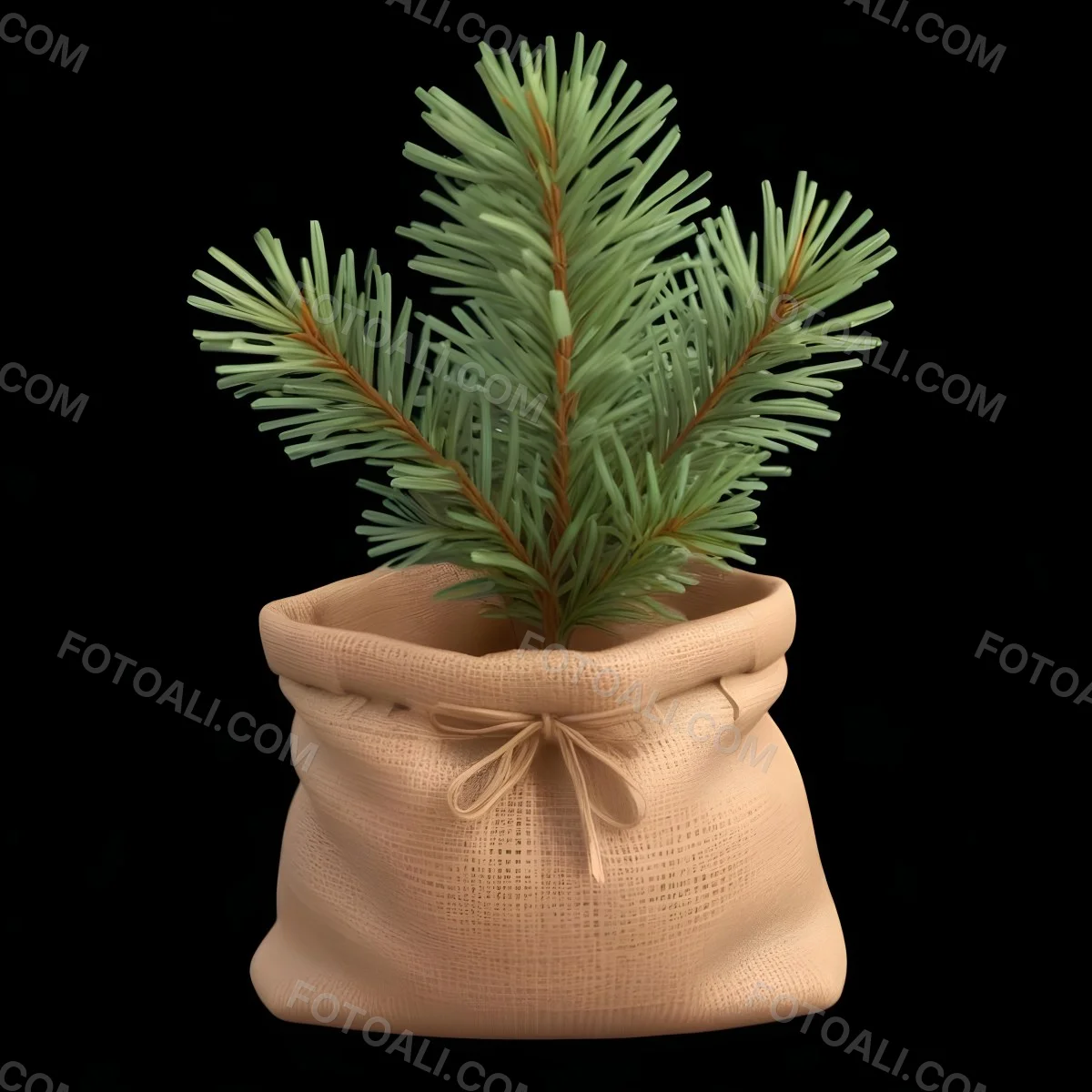 A Small Pine Tree In A Burlap Sack With A Tied Bow The Background Is Plain Black 6 67ad