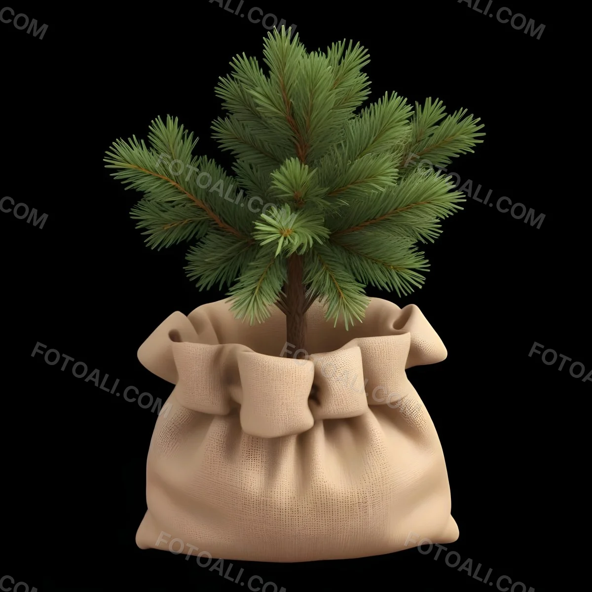 A Small Pine Tree In A Burlap Sack With A Tied Bow The Background Is Plain Black 7 De69