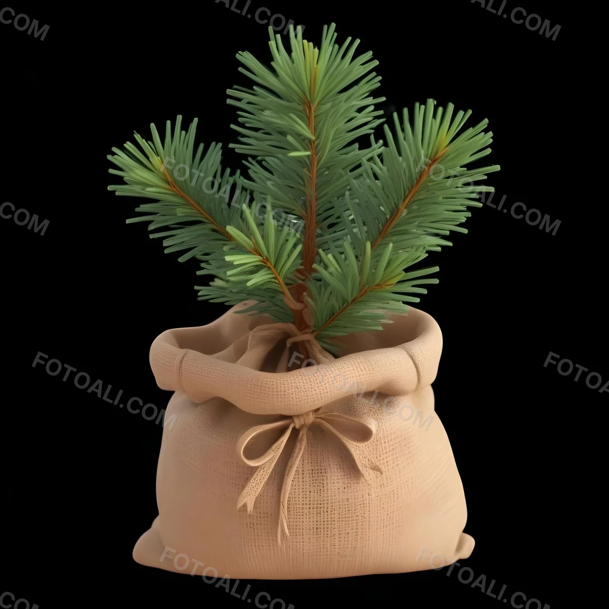A Small Pine Tree In A Burlap Sack With A Tied Bow The Background Is Plain Black 8 F6fe