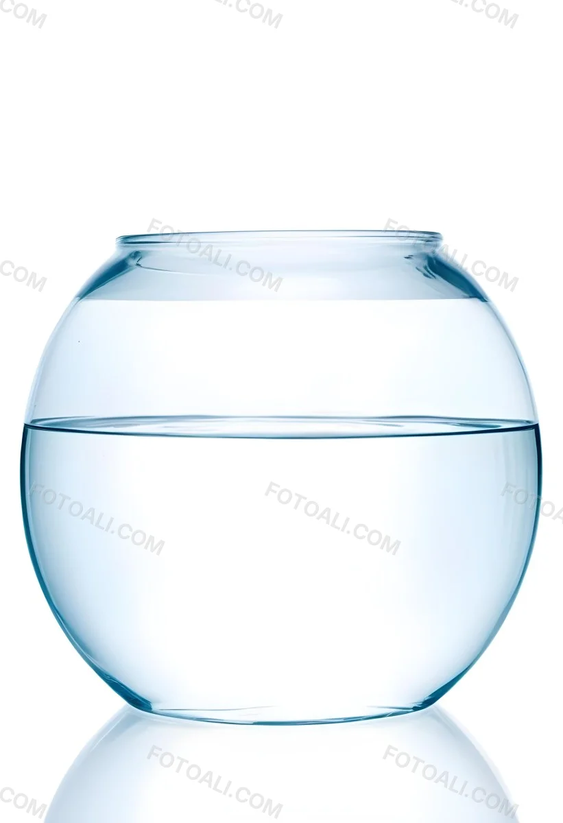 A Transparent Glass Fishbowl Filled Halfway With Clear Water Set Against A Plain White Background Showcasing The Simple Elegance Of The Container And Its Contents 16 6c2c