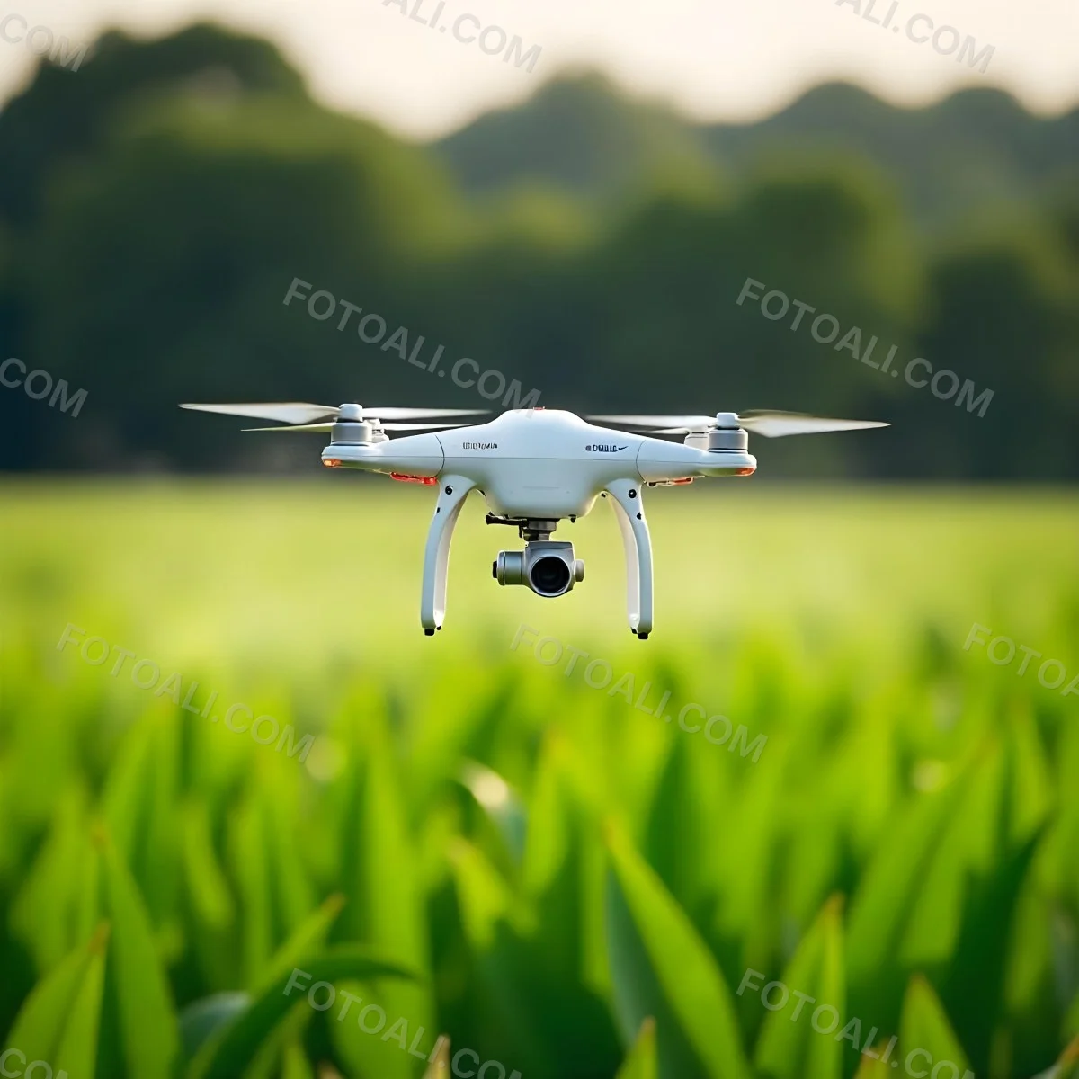 A White Drone Spraying Pesticides Over A Green Cornfield The Drone Has Four Propellers And A White Tank The Background Is A Green Field With Trees 21 5b65