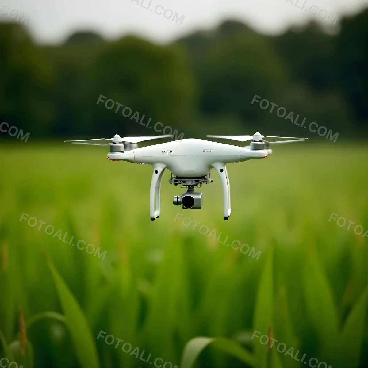 A White Drone Spraying Pesticides Over A Green Cornfield The Drone Has Four Propellers And A White Tank The Background Is A Green Field With Trees 22 B77e