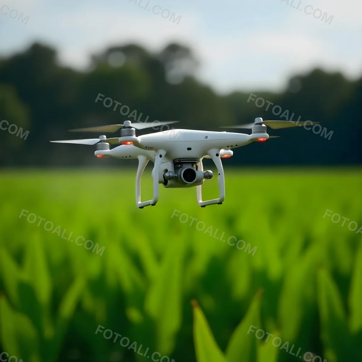 A White Drone Spraying Pesticides Over A Green Cornfield The Drone Has Four Propellers And A White Tank The Background Is A Green Field With Trees 23 F863