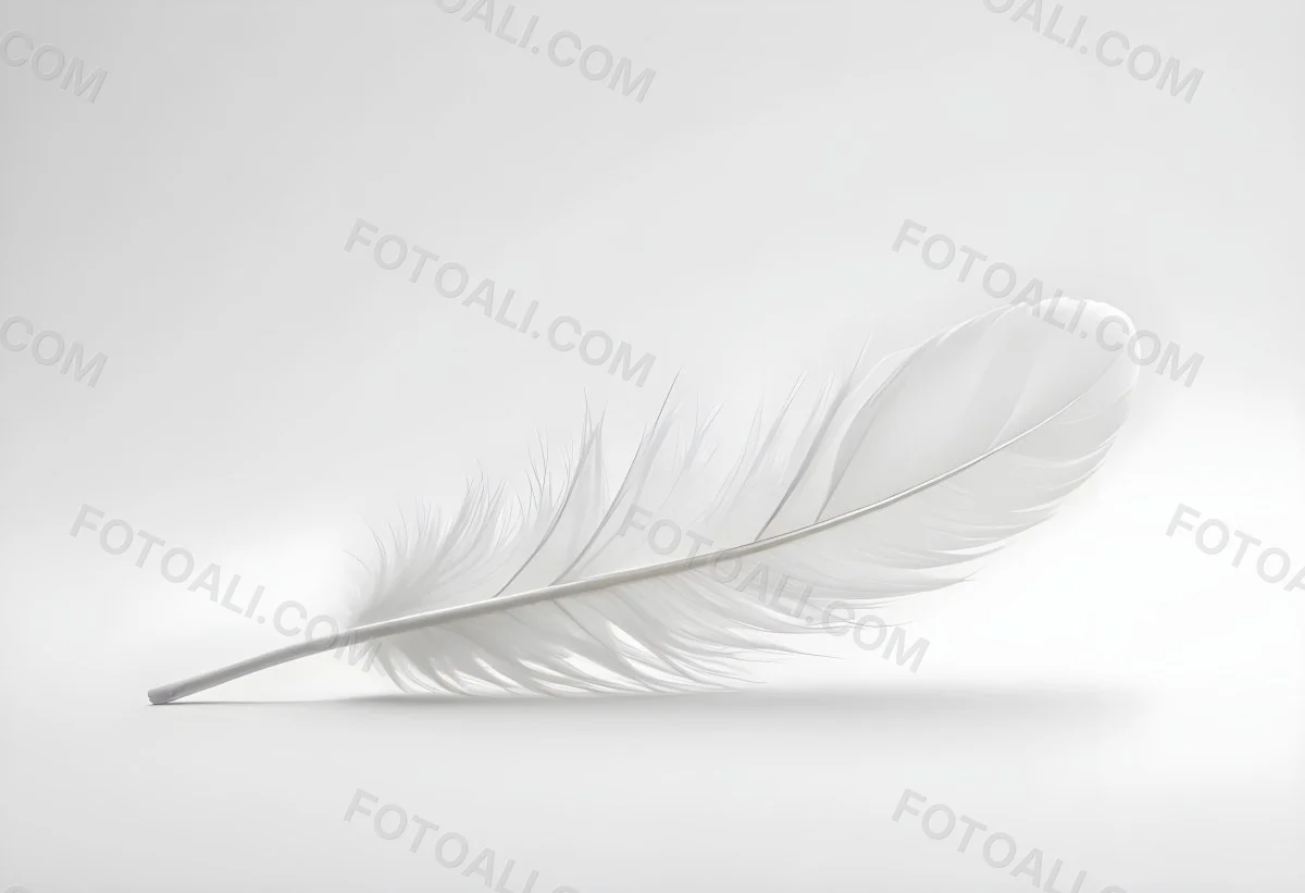 A White Feather With A Curved Shape Soft Texture And Delicate Barbs Floating In A Clean Bright White Background 11 Ae9d