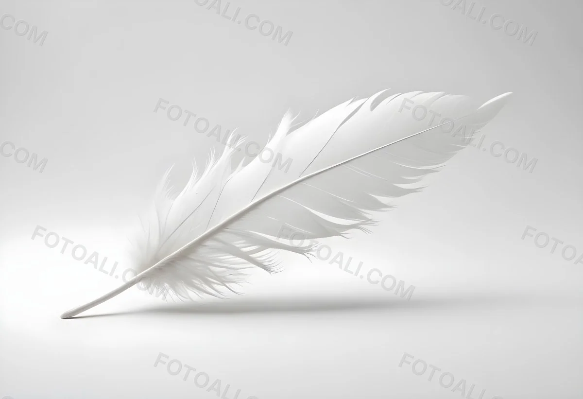 A White Feather With A Curved Shape Soft Texture And Delicate Barbs Floating In A Clean Bright White Background 7 69b6