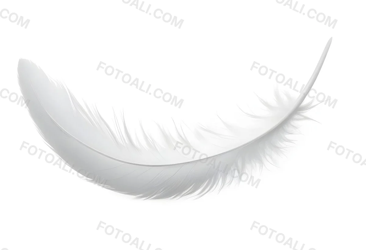 A White Feather With A Curved Shape Soft Texture And Delicate Barbs Floating In A Clean Bright White Background 8 42aa