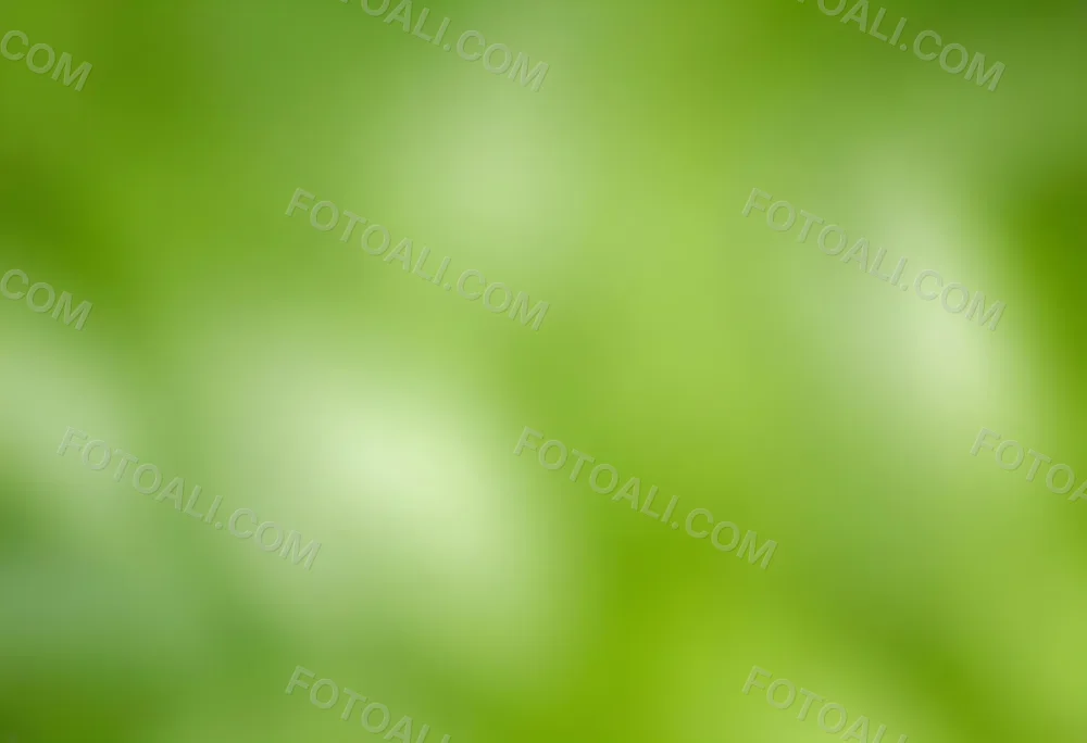 Abstract Background With Shades Of Green And White Creating A Soft Blurred Effect Reminiscent Of Foliage Or Natural Textures With A Focus On Light And Color Gradients 13 899e